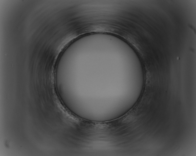 X0000101450848200807141242