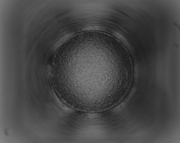 X0000101450849200807141242