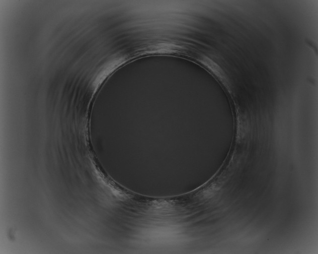 X0000101450850200807141242