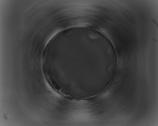 X0000101450851200807141242