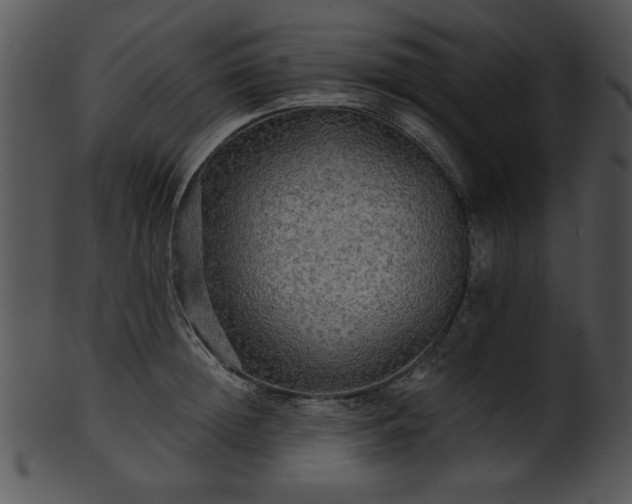 X0000101450852200807141242