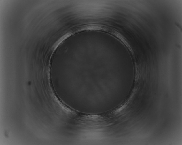 X0000101450853200807141242