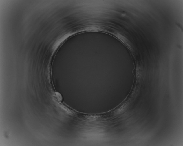 X0000101450854200807141242