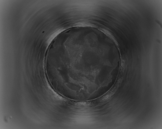 X0000101450855200807141242