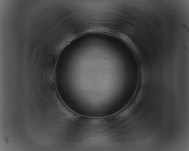 X0000101450857200807141242