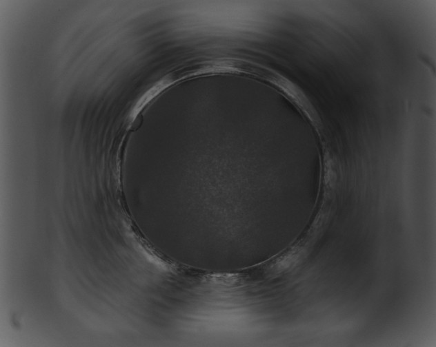 X0000101450858200807141242