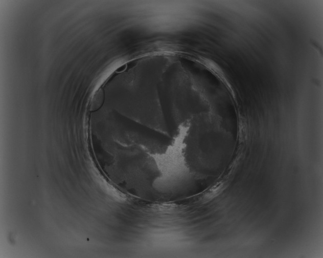 X0000101450859200807141242