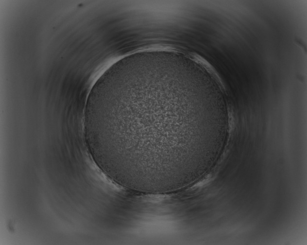 X0000101450860200807141242