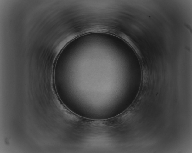 X0000101450861200807141242