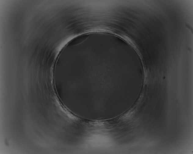 X0000101450862200807141242