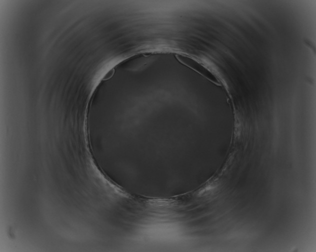 X0000101450863200807141242