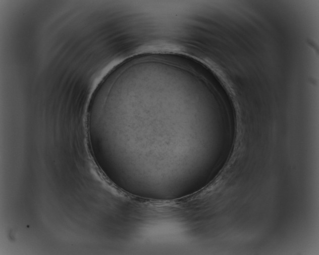 X0000101450864200807141242