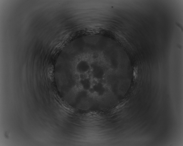 X0000101450867200807141242