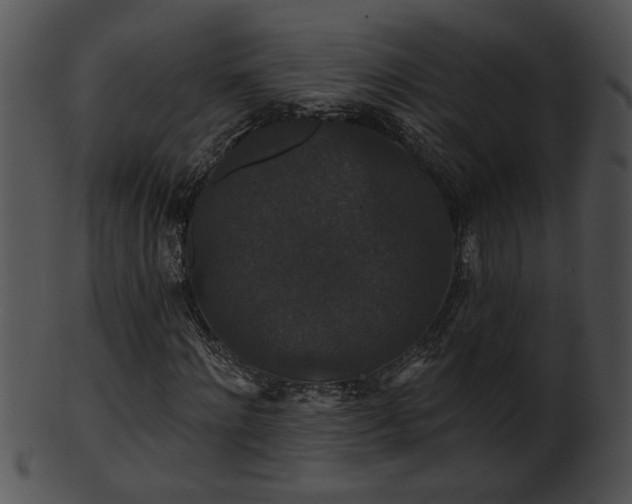 X0000101450868200807141241