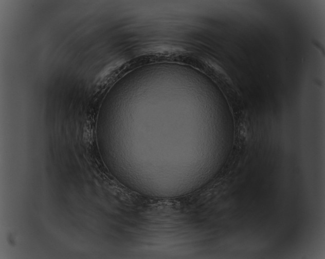 X0000101450869200807141241