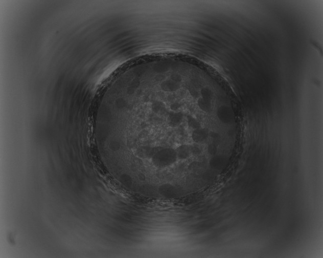 X0000101450871200807141241