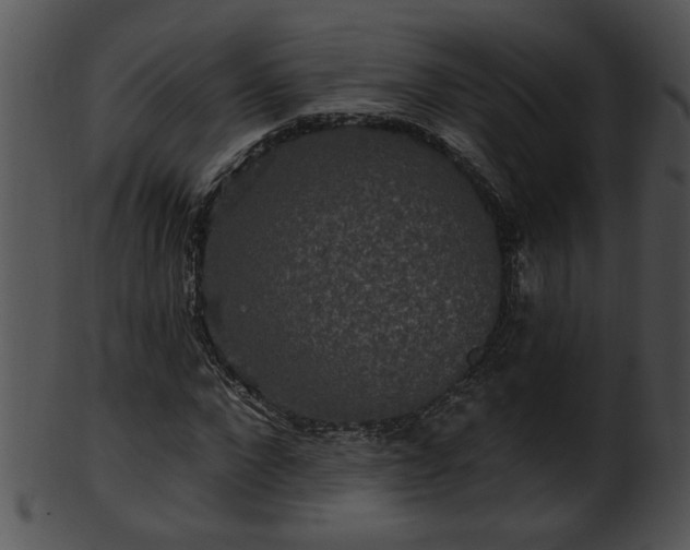 X0000101450872200807141241