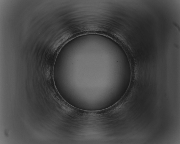 X0000101450873200807141241