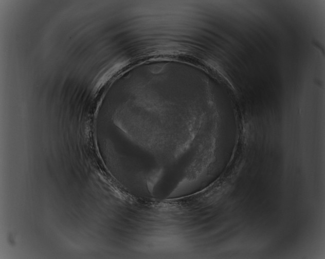 X0000101450874200807141241