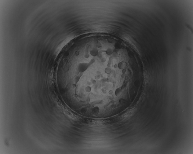 X0000101450875200807141241