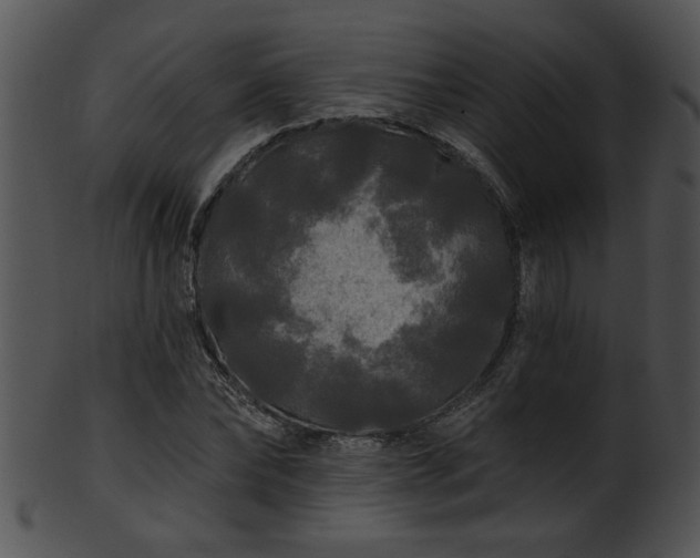 X0000101450878200807141241