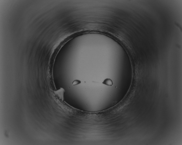 X0000101450880200807141241