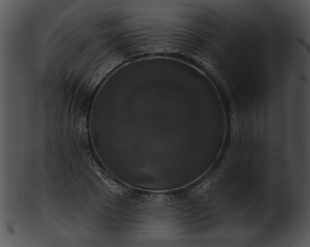 X0000101450881200807141241