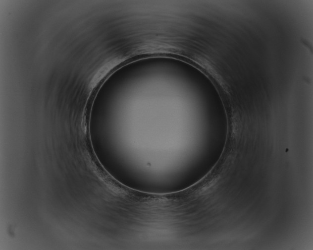 X0000101450885200807141241