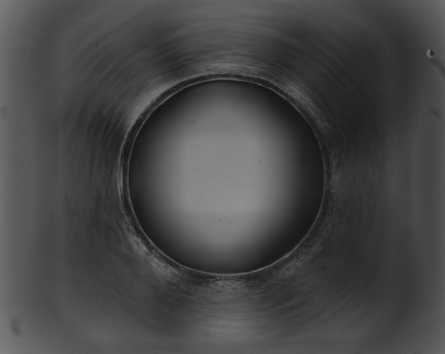 X0000101450888200807141241