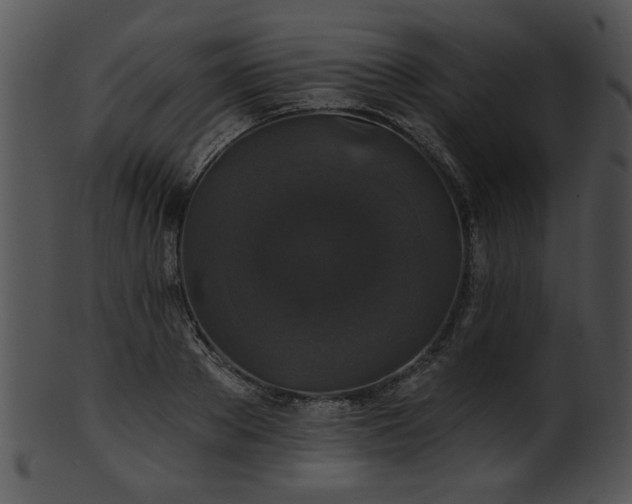 X0000101450889200807141241