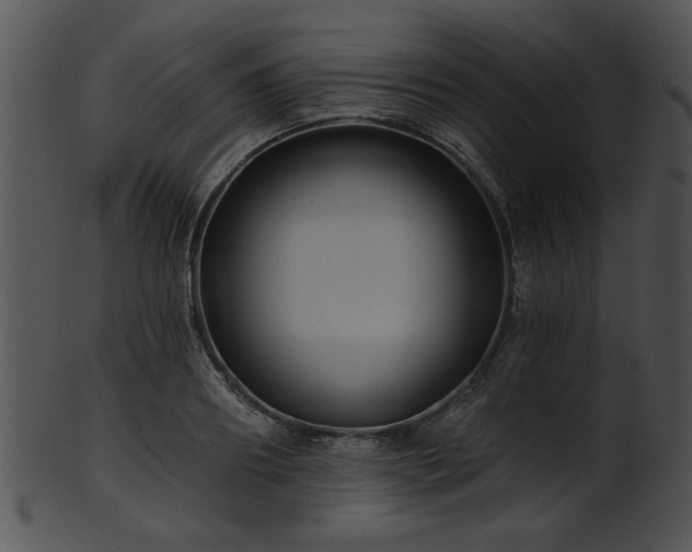 X0000101450890200807141241