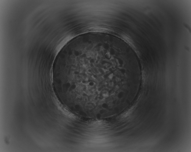 X0000101450891200807141241