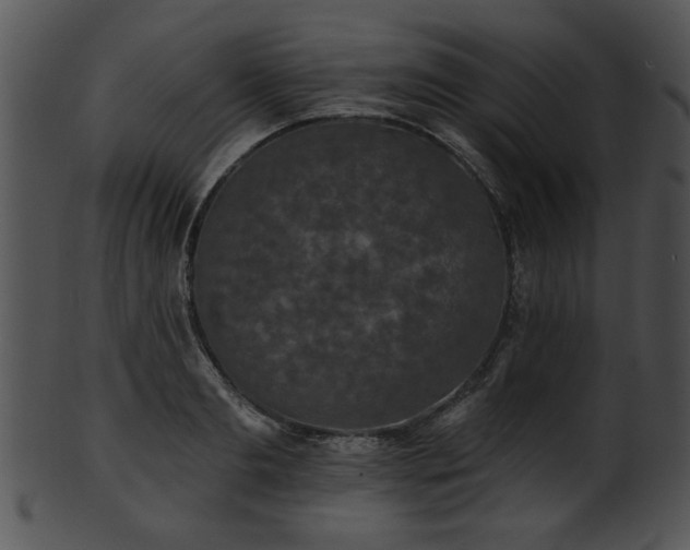 X0000101450893200807141241