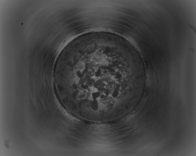 X0000101450895200807141241