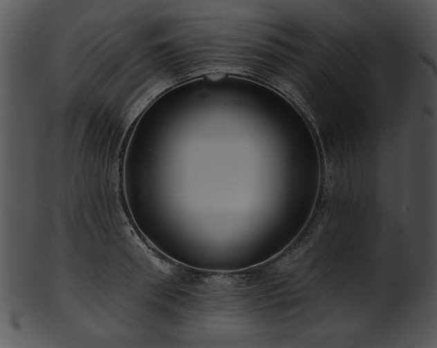 X0000101450898200807141241