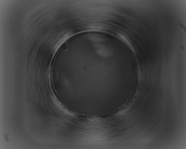 X0000101450899200807141241