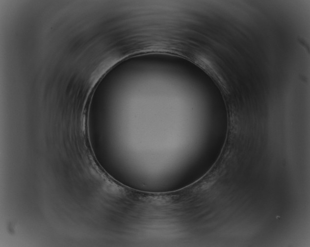 X0000101450900200807141241