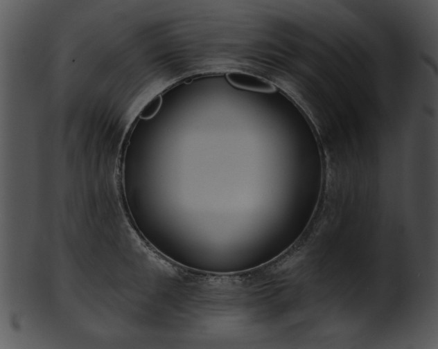 X0000101450901200807141241