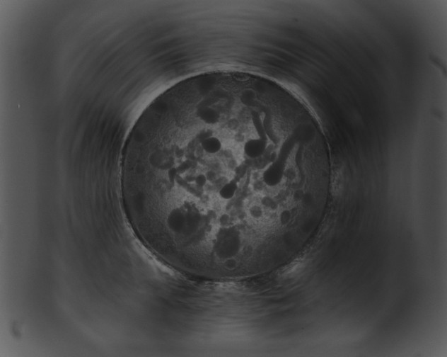 X0000101450903200807141241