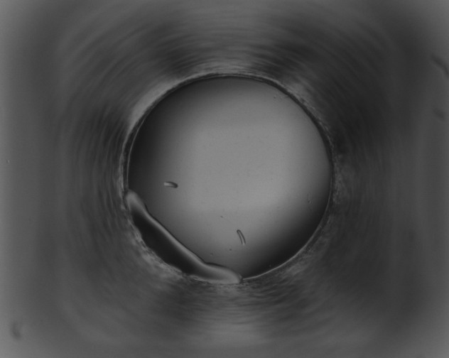 X0000101450904200807141241