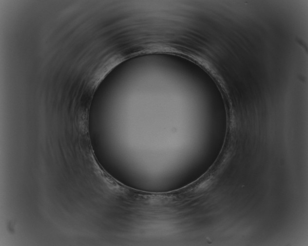 X0000101450905200807141241