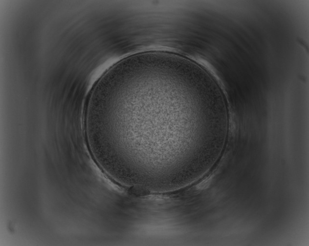 X0000101450910200807141241