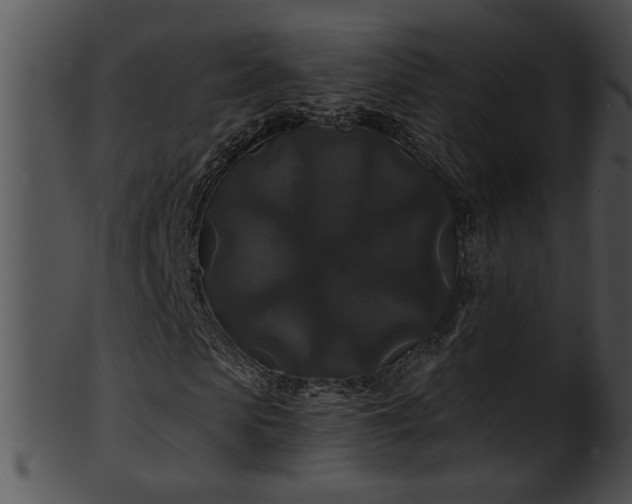 X0000101450913200807141240