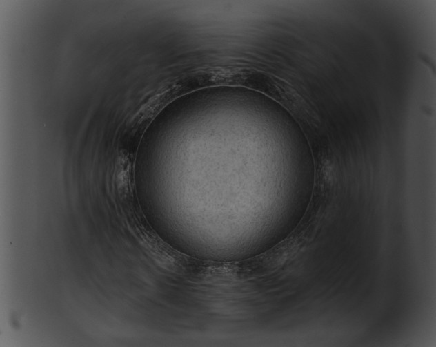 X0000101450914200807141240