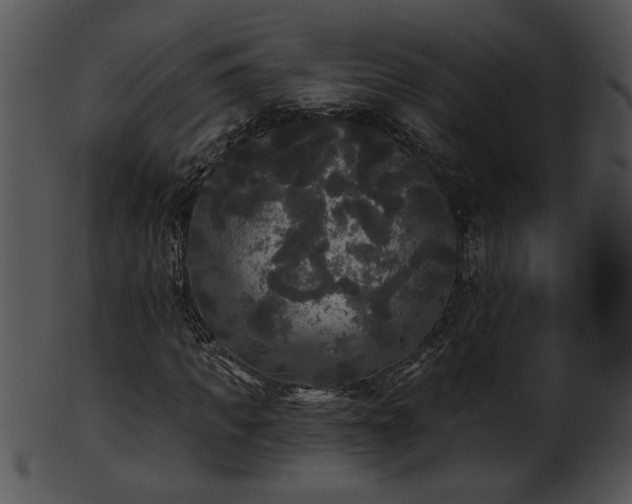 X0000101450917200807141240