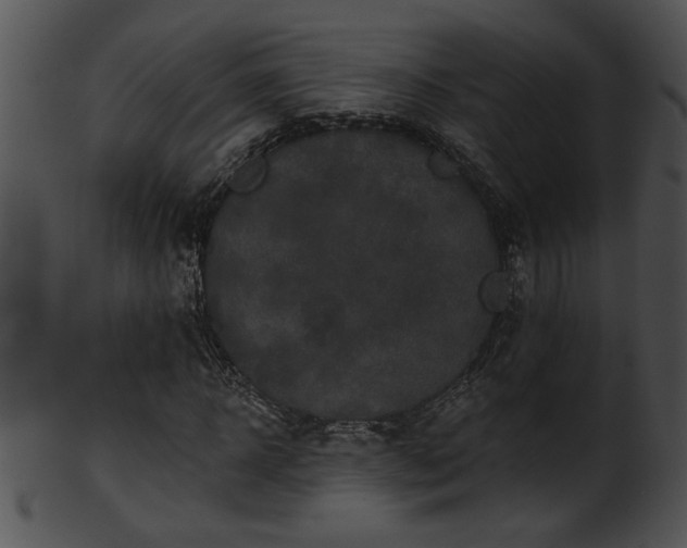 X0000101450918200807141240