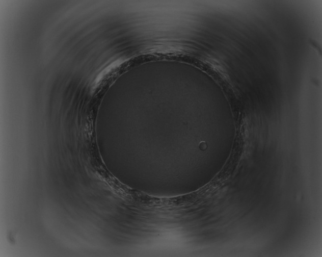 X0000101450920200807141240