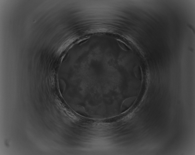 X0000101450921200807141240