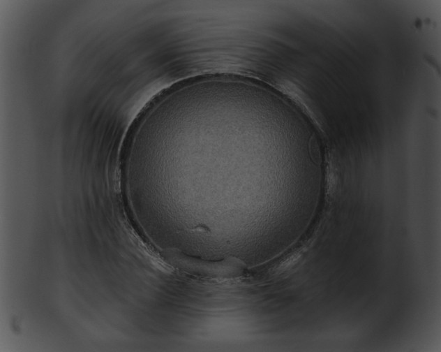 X0000101450924200807141240