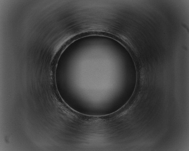 X0000101450926200807141240